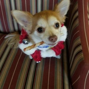 Meet your Posher, Faith